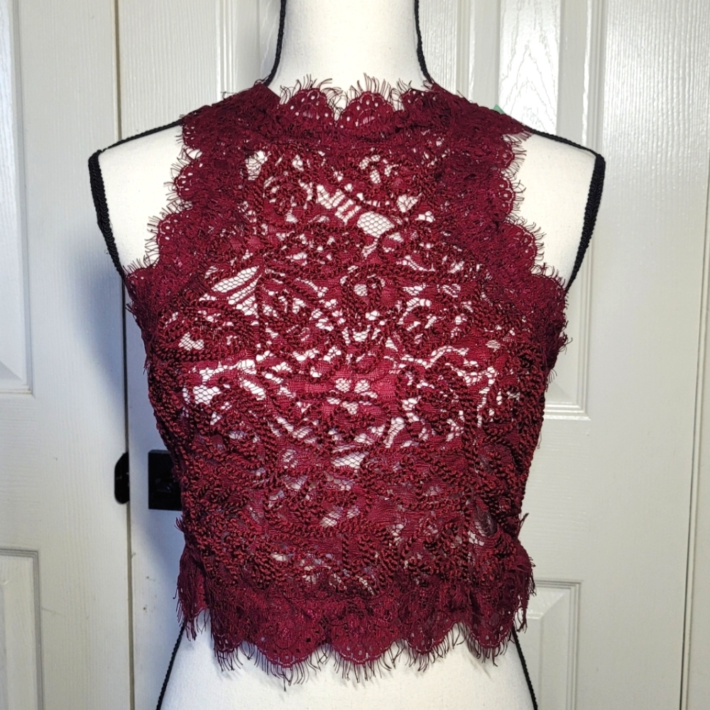 Zara Trafaluc 🖤 Maroon/Wine Embroidered Lace Sleeveless, Back Zip Top▪︎Medium